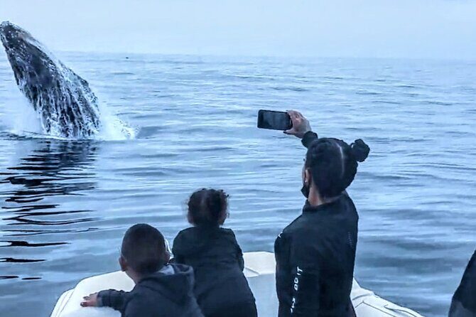 Private Dolphin and Whale Watching Tour in Newport Beach - FAQ