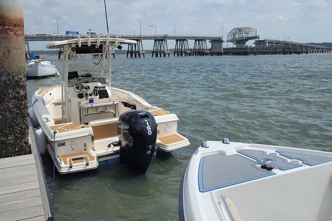 Private Dolphin Boat Tour in Hilton Head Island - Analyzing Value and Cost