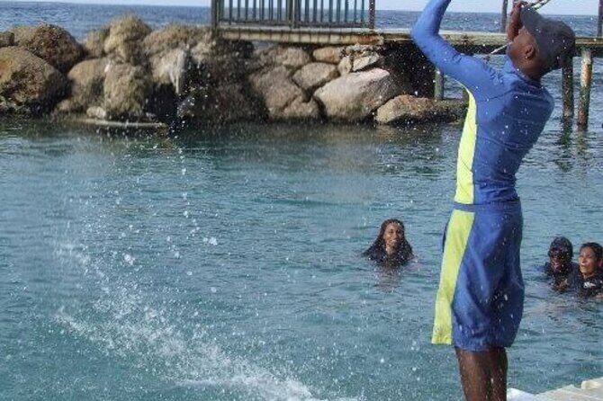 Private Dolphin Cove Adventure - FAQ
