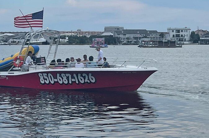 Private Dolphin Cruise - Analyzing the Value and Practicalities