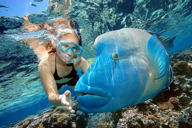 Private Dolphin House Boat Tour with Snorkeling & Lunch Hurghada - Who Would Love This Tour?