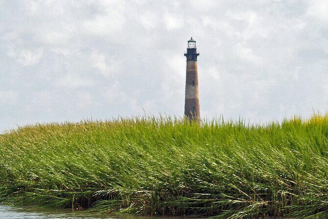 Private Dolphin, Lighthouse and Shelling Adventure (Folly Beach) - A Thorough Breakdown of What to Expect