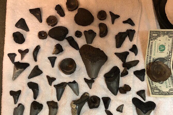 Private Dolphin, Lighthouse and Shelling Adventure (Folly Beach) - Final Thoughts: The Value of a Personal Touch