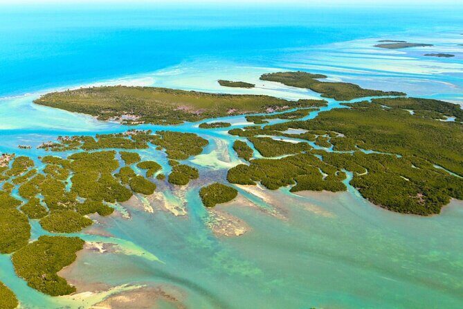 Private Dolphin Playground Safari - What to Expect on Your Dolphin Safari