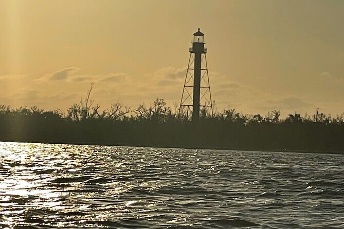 Private Dolphin & Sightseeing Boat Day Tour - A Deep Dive into the Experience