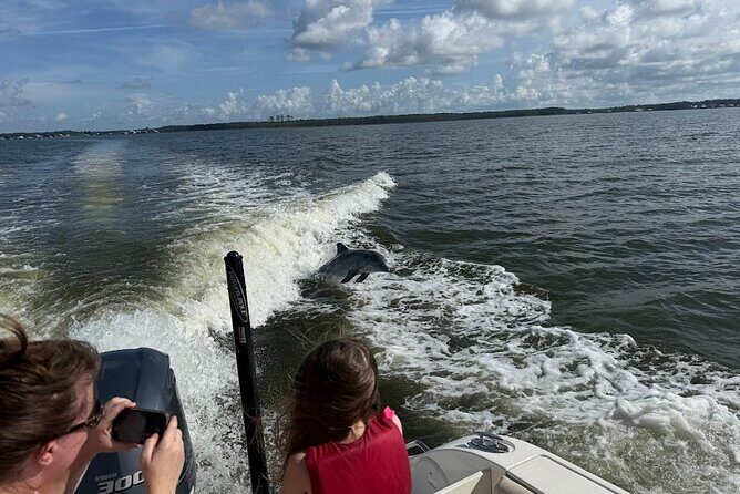Private Dolphin Sightseeing Excursion - Final Thoughts: Is It Worth It?