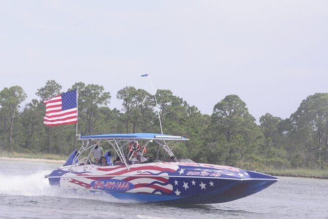 Private Dolphin Spotting Thrill Ride in Destin - Discovering the Private Dolphin Spotting Thrill Ride in Destin