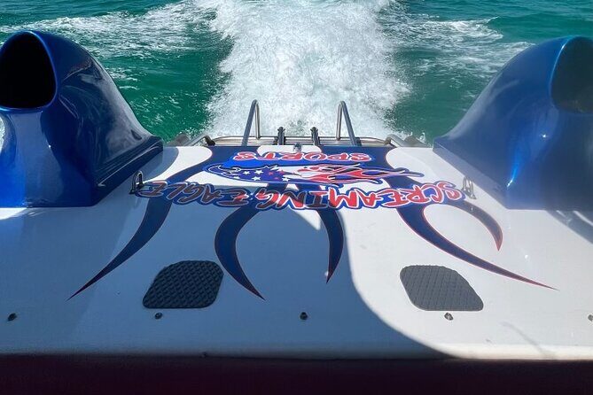 Private Dolphin Spotting Thrill Ride in Destin - Who Is This Tour Best For?