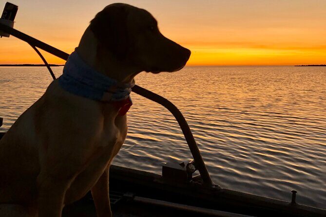 Private Dolphin Watch and Sunset Boat Tour Port Aransas Texas - Key Points