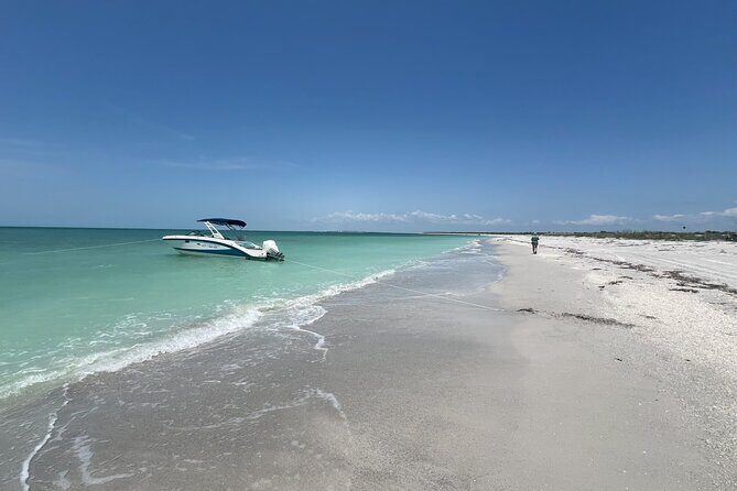 Private Dolphin Watching Beach Day Getaway - A Close Look at the Experience