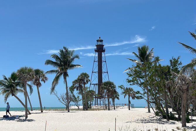 Private Dolphin Watching Beach Day Getaway - Final Thoughts: Is It Worth It?