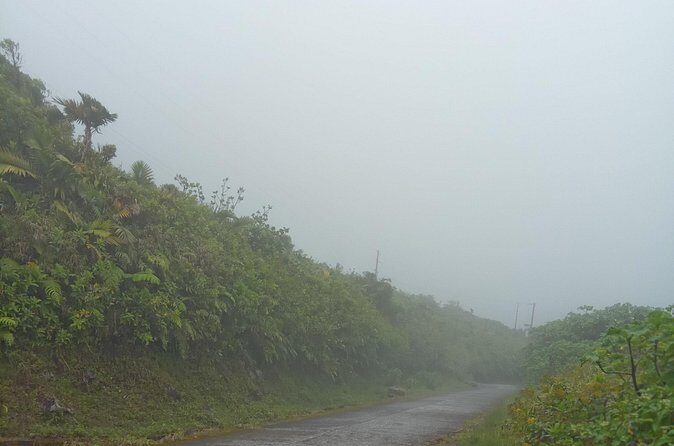 Private Dominica Tour to Trafalgar Falls &Titou Gorge via Minibus - Frequently Asked Questions