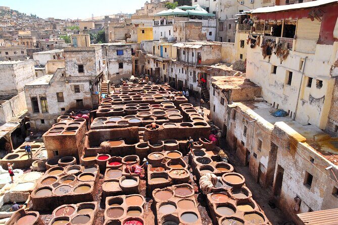 Private Driver for a full day in Marrakech - Authentic Experiences and User Feedback