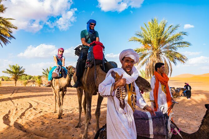 Private Driver for a full day in Marrakech - The Sum Up