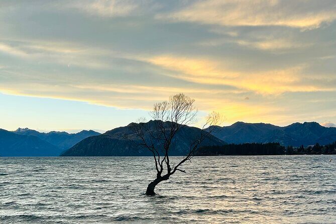 Private Driver Hire Full-Day Touring-Auckland/Rotorua/Hamilton - The Sum Up