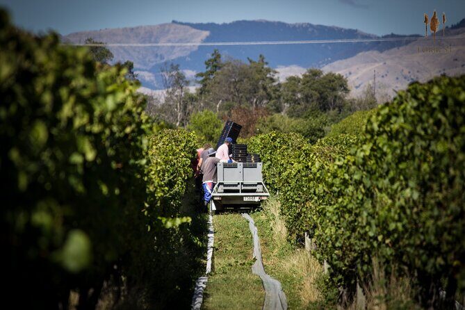 Private Driving Wine Tour (full day) in the Marlborough Region - FAQ