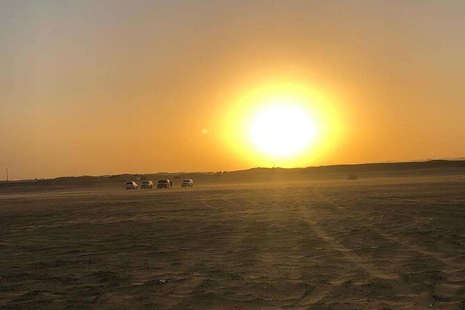 Private Dubai City Tour and Dinner in the Desert Safari - Who Will Love This Tour?
