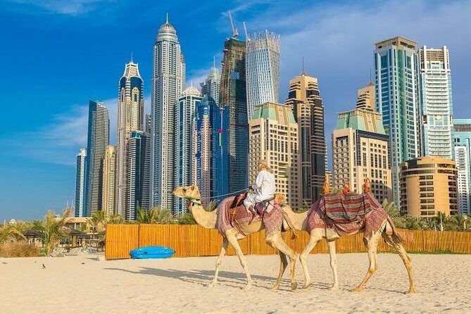 Private Dubai City Tour with Dubai Frame Ticket - Frequently Asked Questions