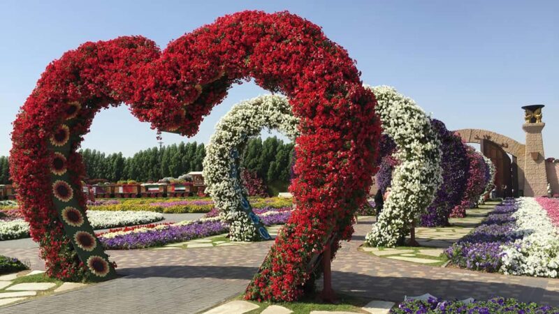 Private Dubai Frame & Miracle Garden Trip with Transfer - Detailed Itinerary Breakdown
