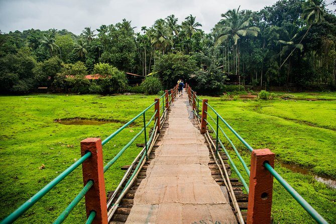 Private Dudhsagar waterfalls & Spice Plantation with Lunch from Mormugao Port - FAQ