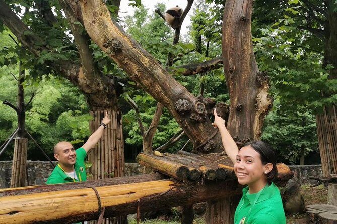 Private Dujiangyan Panda Base Panda Rescue Center Volunteer for a Day - Deep Dive Into the Itinerary