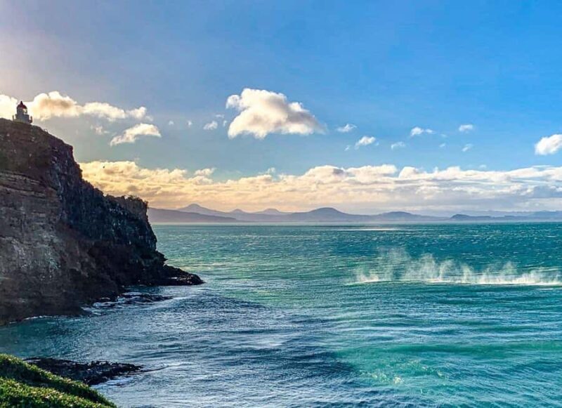 Private Dunedin City Highlights and Otago Peninsula Day Tour - FAQ