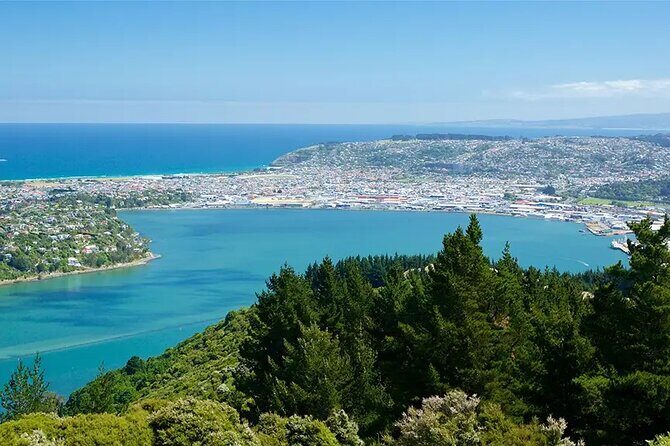 Private Dunedin & Otago Peninsula Day Tour Up to 4 - Key Points