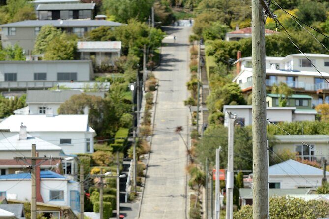 Private Dunedin & Otago Peninsula Day Tour Up to 4 - Practical Considerations