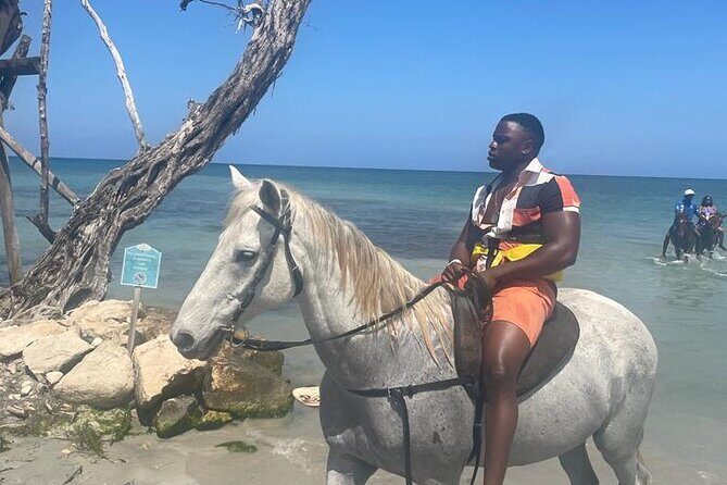 Private Dunns River Falls and Horse Back Riding - Key Points