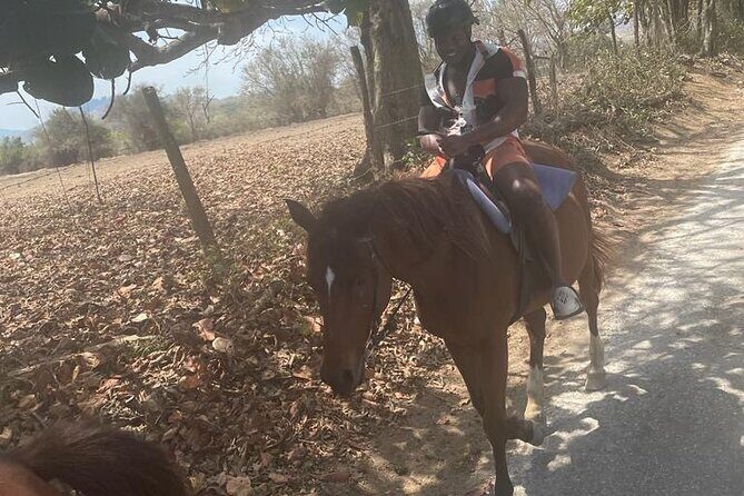 Private Dunns River Falls and Horse Back Riding - An In-Depth Look at the Tour Experience