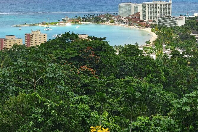 Private Dunn's River Falls, Ocho Rios Sightseeing and shopping - Cost Analysis and Overall Value