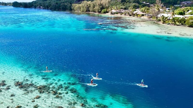 Private E-Board Tour of Moorea Lagoon - A Full Breakdown of the Experience