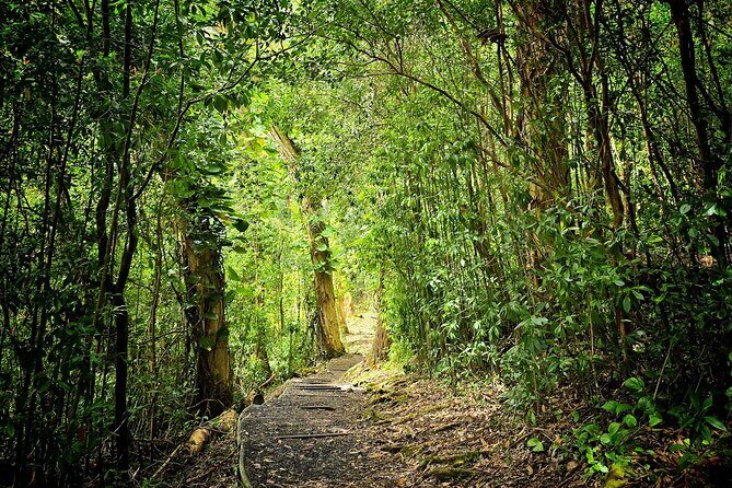 Private East Maui Hiking Experience - A Closer Look at the Private East Maui Hiking Experience