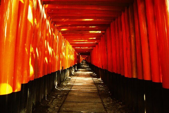 Private eBike Tour Exploring Fushimi with Torii Red Gate Ride - Why Choose a Private eBike Tour in Kyoto?