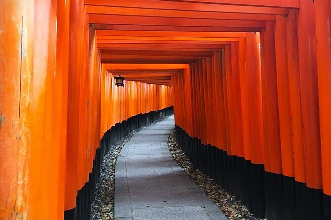 Private eBike Tour Exploring Fushimi with Torii Red Gate Ride - Who Will Love This Tour?