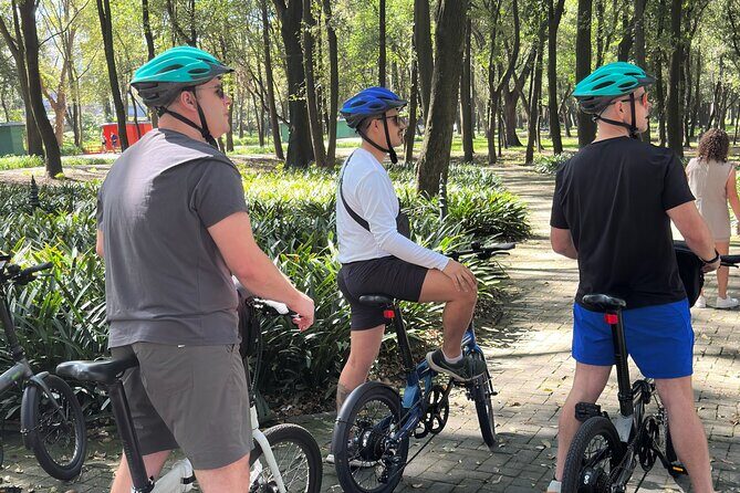 Private Ebike Tour in Chapultepec Forest in CDMX - What Makes This Tour Stand Out?