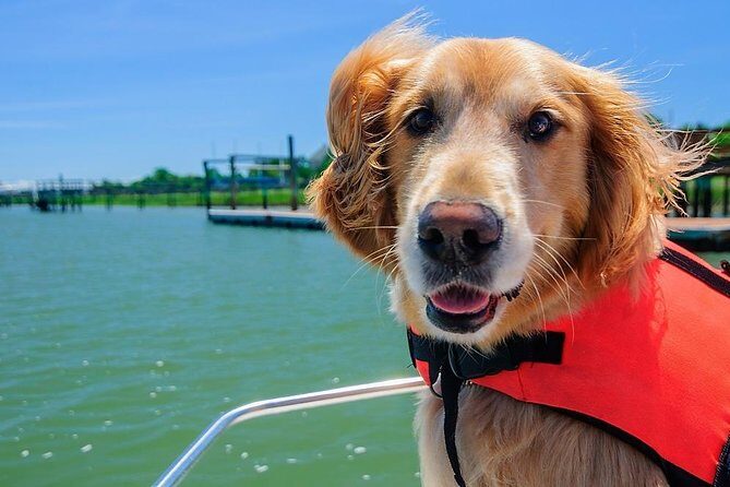 PRIVATE Eco Boat Trip out of Naples Bay, FL , island stop incl. - An Introduction to the Experience