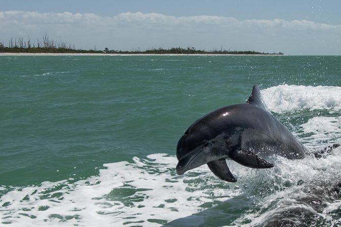 PRIVATE Eco Boat Trip out of Naples Bay, FL , island stop incl. - What’s Included and Not