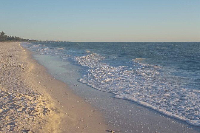 PRIVATE Eco Boat Trip out of Naples Bay, FL , island stop incl. - FAQ