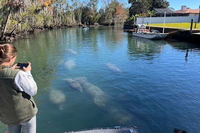 Private Eco Tour in Kings Bay Crystal River Florida - The Experience: What to Expect on Your Private Eco Tour
