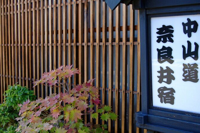 Private Edo Period Tour Matsumoto Castle and Nakasendo Trail - An In-Depth Look at the Experience