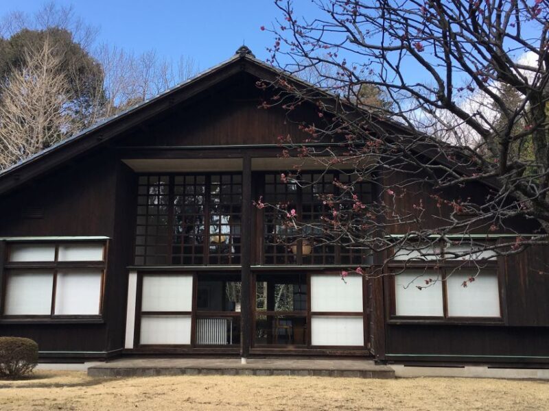 Private Edo-Tokyo Open Air Architectural Museum Tour - Why This Tour Offers Great Value