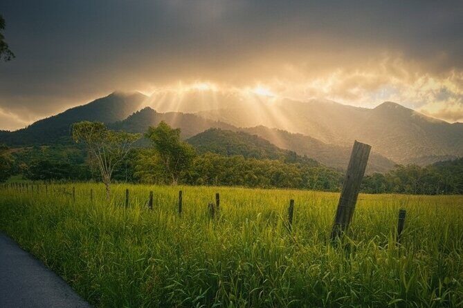 Private El Yunque Half-Day Tour with Transport - FAQ