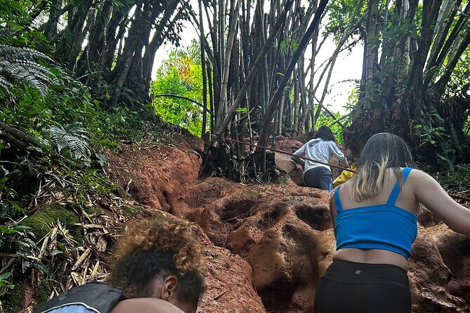Private El Yunque Tour to Waterslide and Waterfalls - Frequently Asked Questions