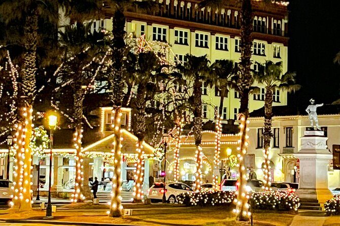 Private Electric Golf Cart Nights of Lights Tour up to 12 people - Who will love this tour?