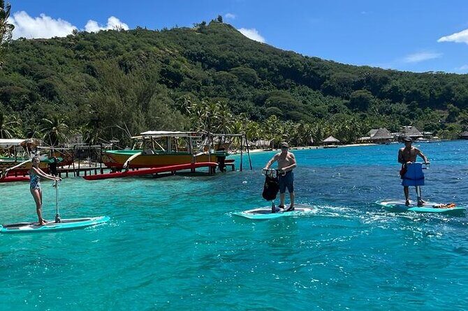 Private Electric Paddle Cruise in Bora Bora - Practical Details That Matter