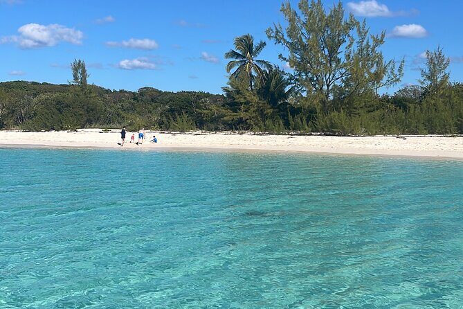 Private Eleuthera Island: Swim With Pigs, Turtles & Stingrays - Analyzing the Value