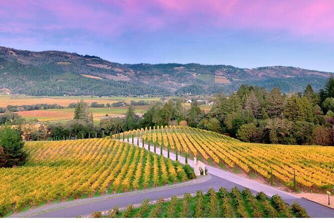 Private Enchanted Napa and Sonoma Wine Tour in SUV from SFO - Who’s This Tour Best For?