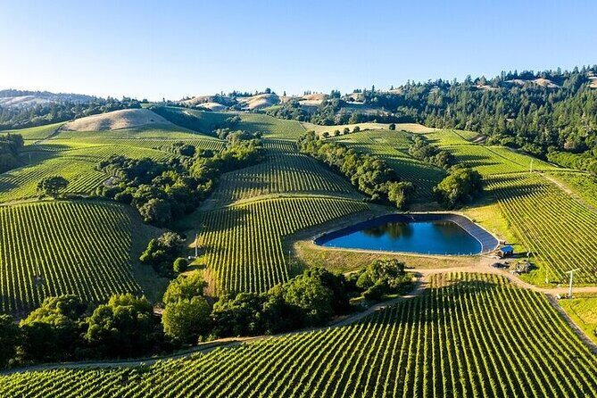 Private Enchanted Napa & Sonoma Wine Tour from Oakland - Key Points