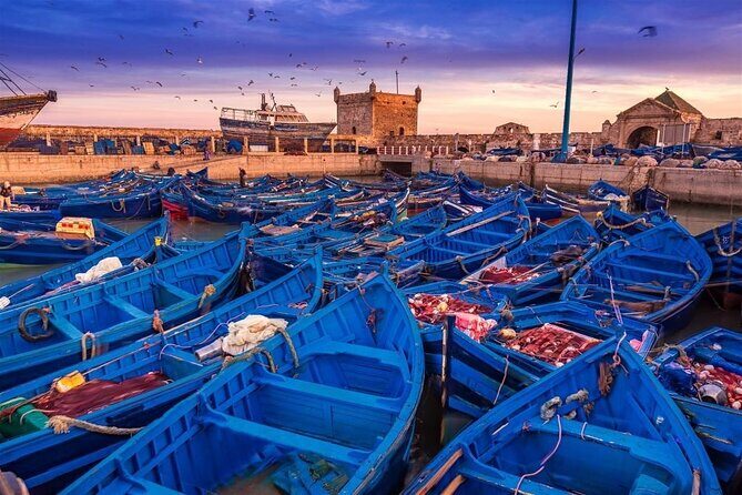 Private Essaouira day trip from Marrakech - The Value and Real-World Experience